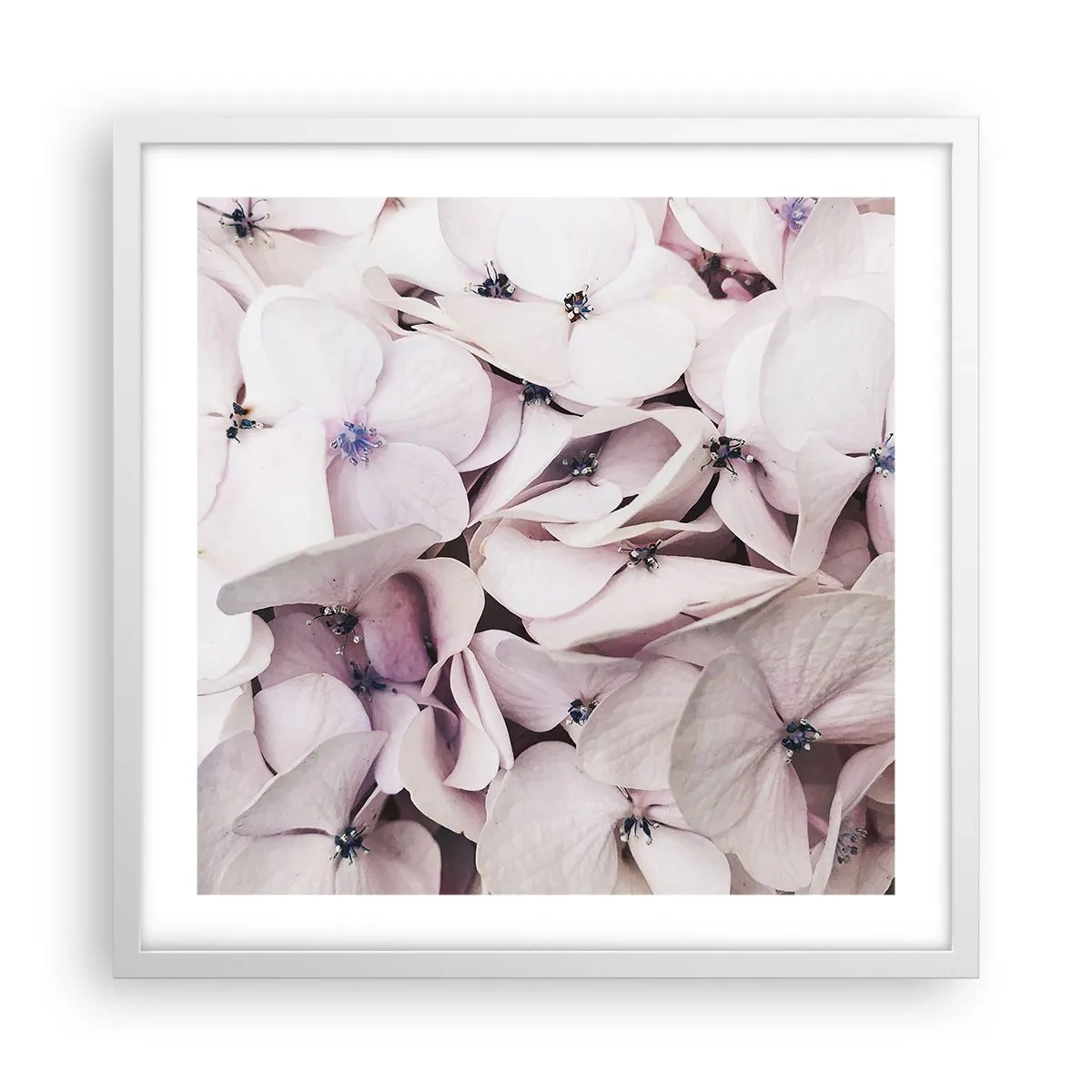 Plakat i hvid ramme - I en flod af blomster - 50x50 cm