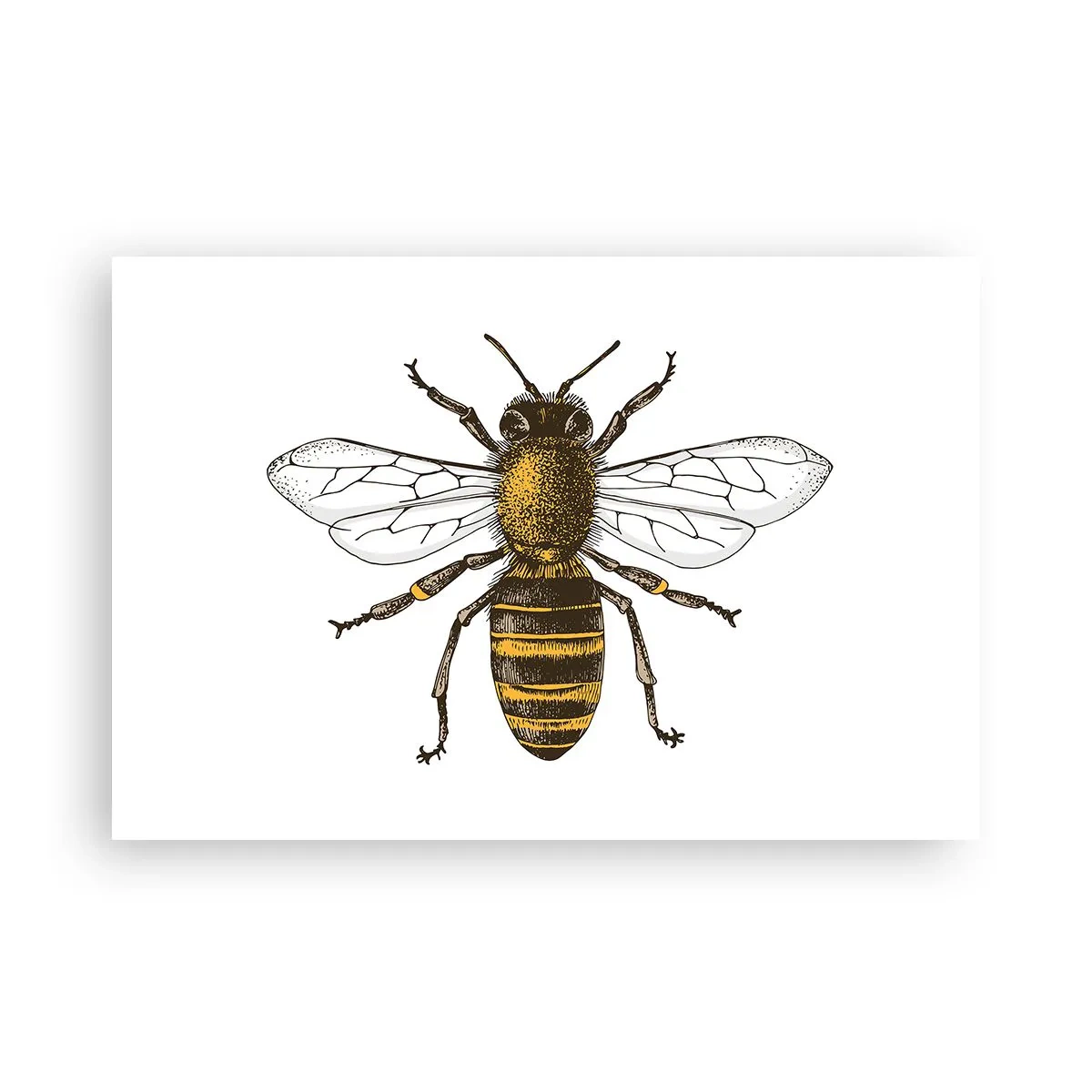 Plakat - Smuk og god - 91x61 cm