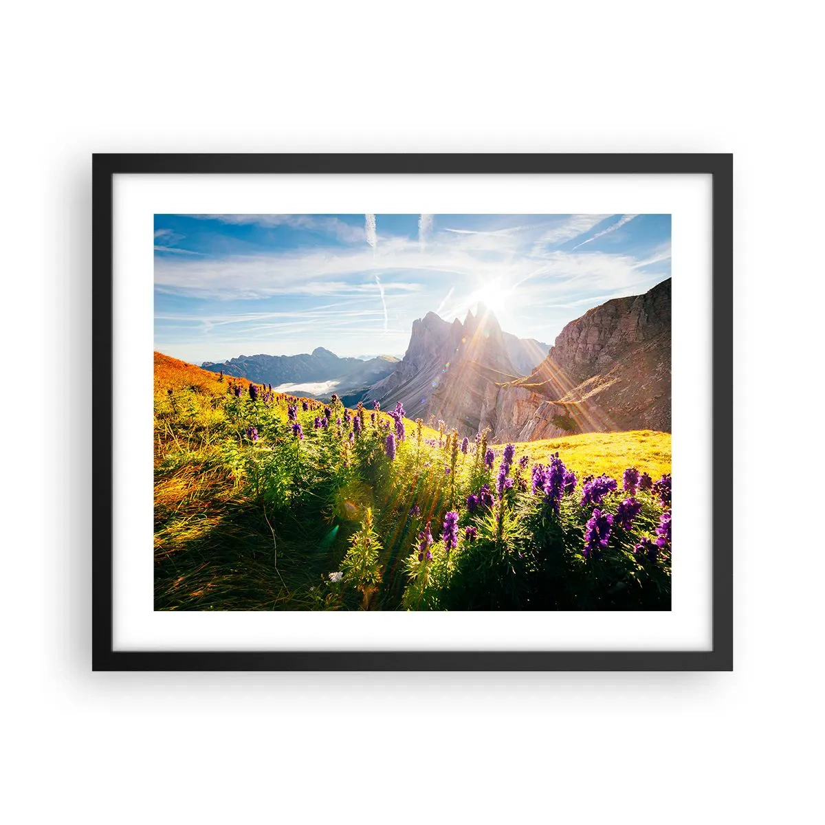 Plakat i sort ramme - Urternes hemmelige liv - 50x40 cm