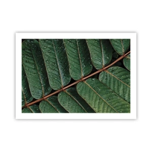 Plakat - I en grøn rytme - 70x50 cm