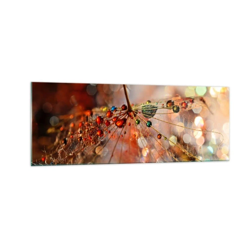 Billede på glas - Trådet på et edderkoppespind - 140x50 cm