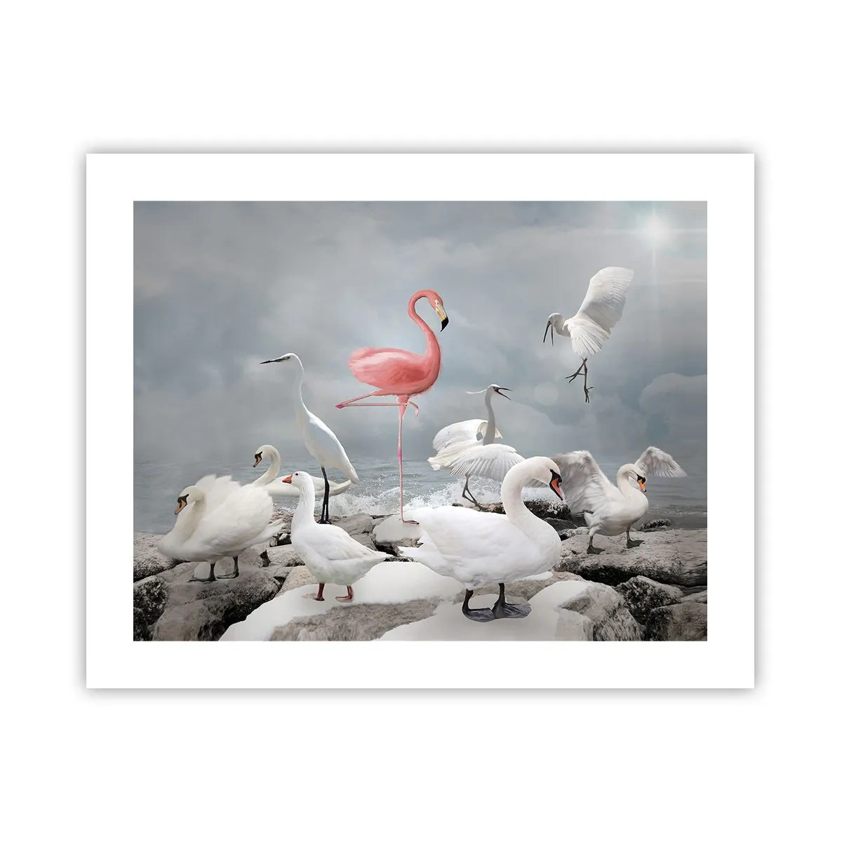Plakat - Hvor kommer jeg fra? - 50x40 cm