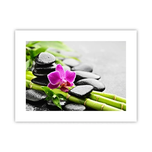 Plakat - I en fredelig balance - 40x30 cm