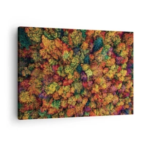 Lærredstryk - Billede på lærred - Farverige trækroner i efterårspaletten - 70x50cm - Buket af efterårstræer - Moderne vægdekoration til stue og soveværelse ARTTOR