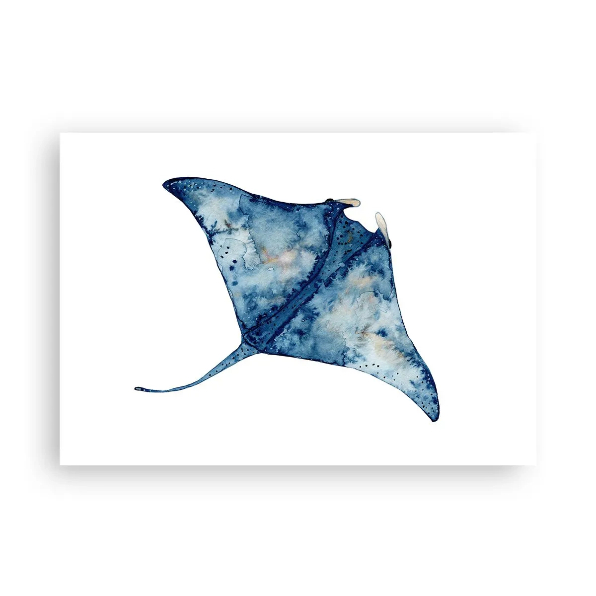 Plakat - Liv i blåt - 100x70 cm