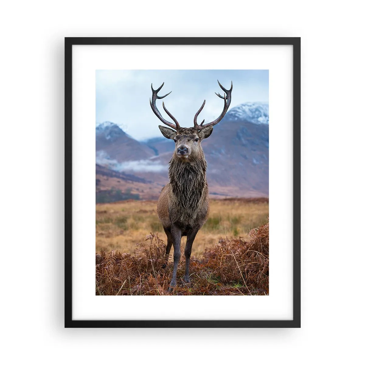 Plakat i sort ramme - På deres egen jord - 40x50 cm