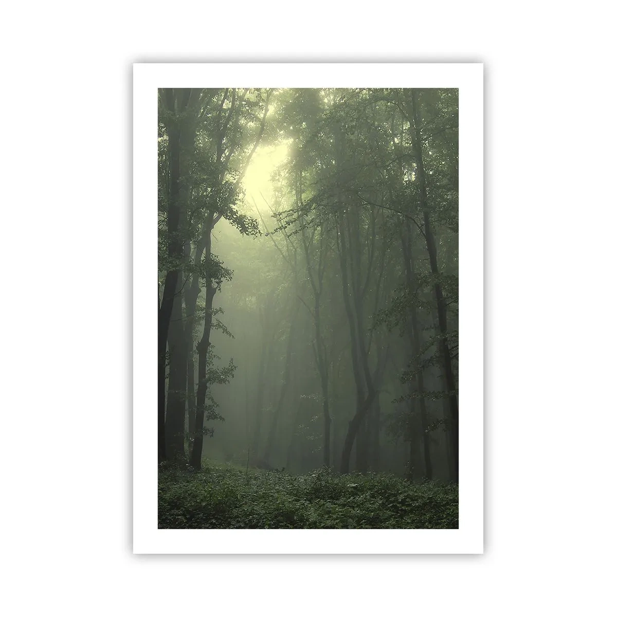 Plakat - Før han vågner op - 50x70 cm