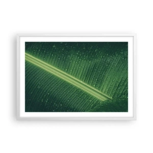 Plakat i hvid ramme - Grøn struktur - 70x50 cm
