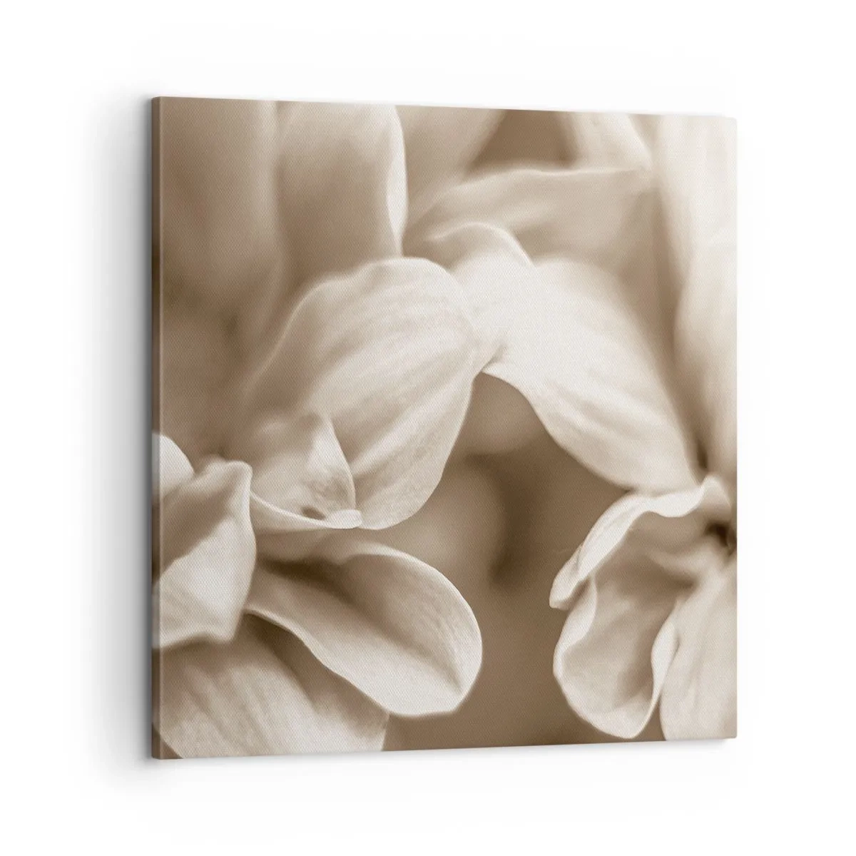 Lærredstryk - Billede på lærred - Blid som et smil - 60x60 cm