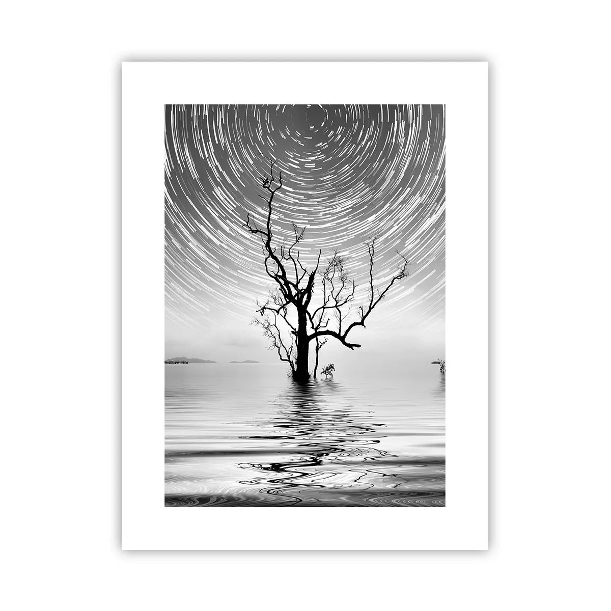 Plakat - En natursymfoni - 30x40 cm