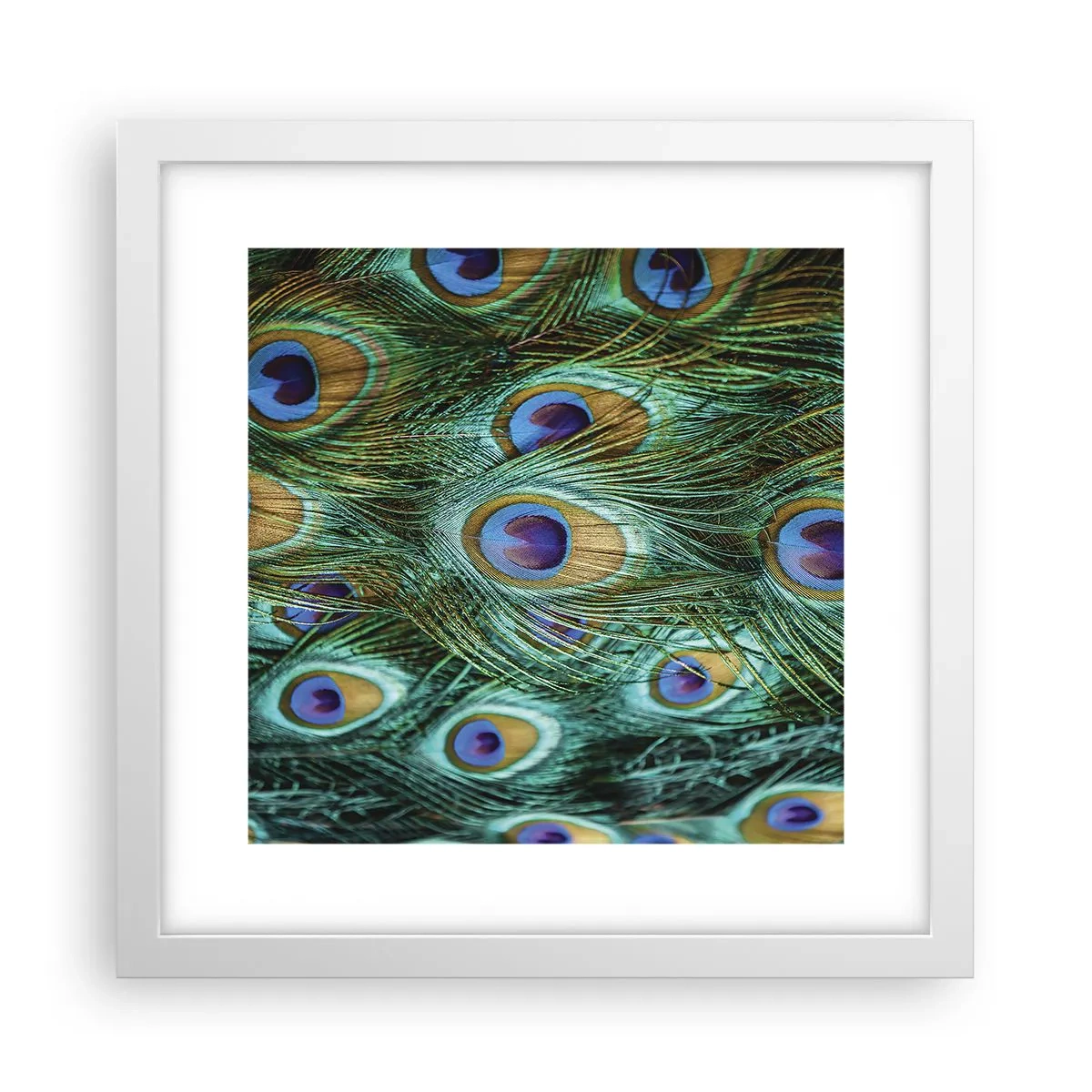 Plakat i hvid ramme - En påfugls blik - 30x30 cm
