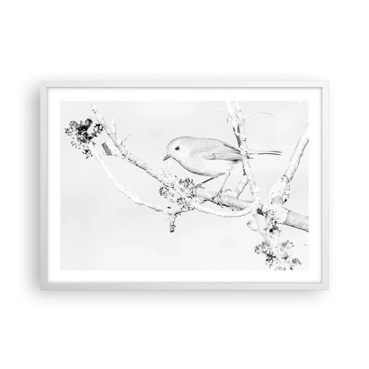 Plakat i hvid ramme - Vintermorgen - 70x50 cm