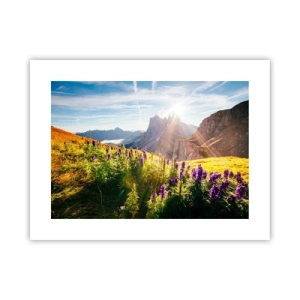 Plakat - Urternes hemmelige liv - 40x30 cm