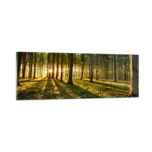 Billede på glas - Fotografering af alle fjedre - 90x30 cm