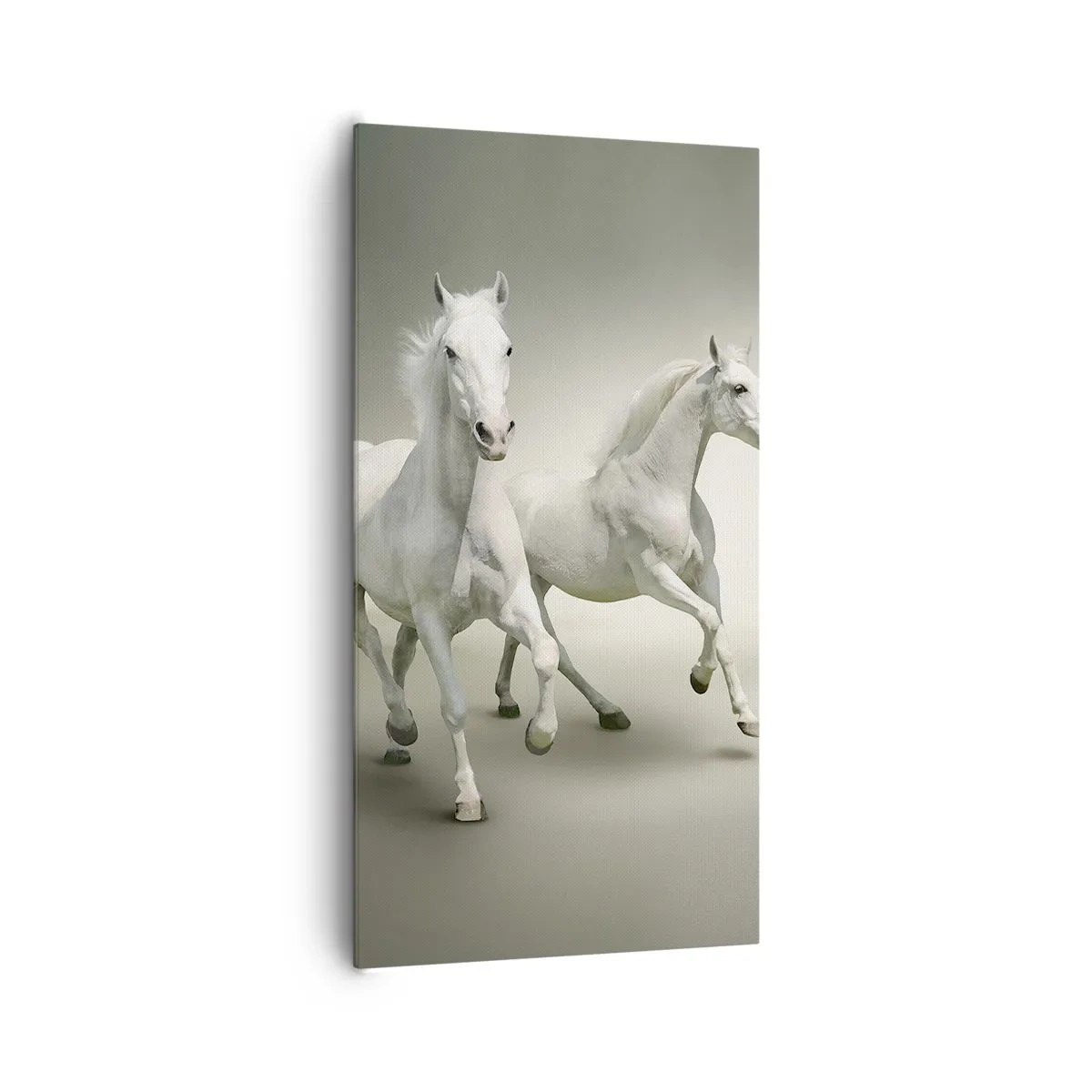 Lærredstryk - Billede på lærred - White power! - 65x120 cm