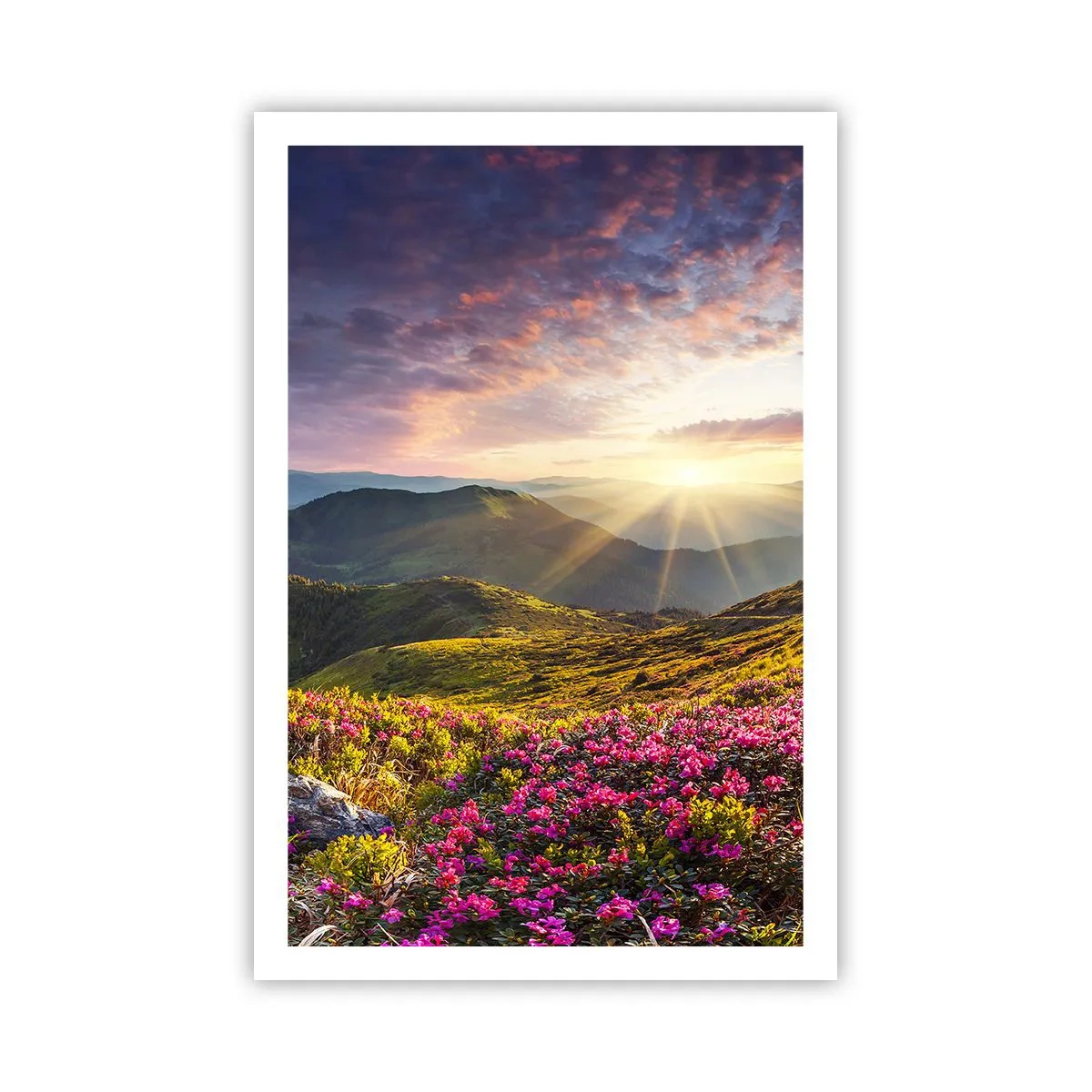 Plakat - Friskheden af en morgen i bjergene - 61x91 cm