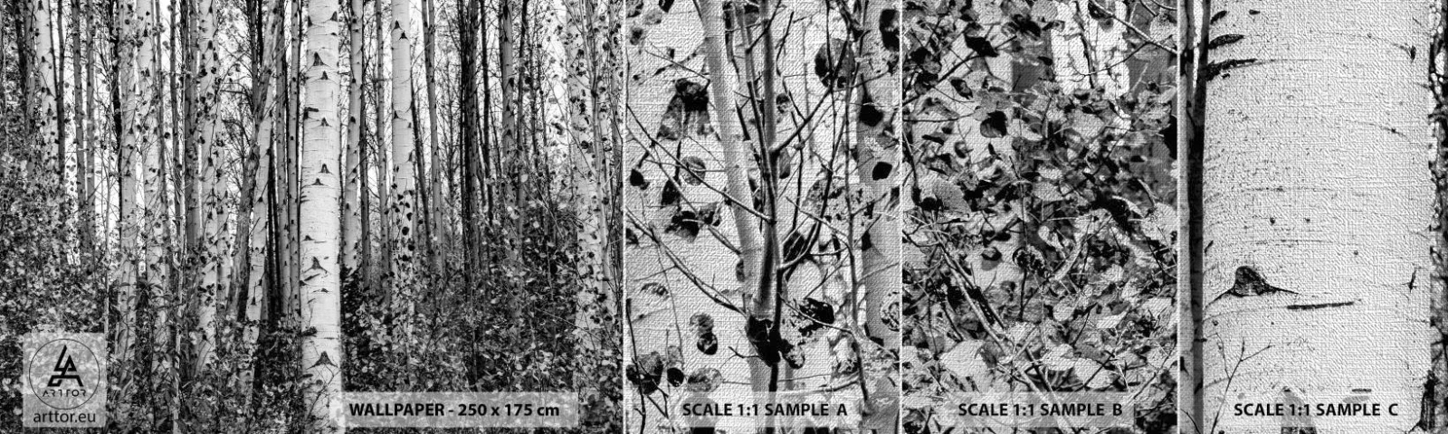 Prøve Fototapet Premium Canvas - Kolonnade af birk - Skov, Birk, Natur - 100x30 cm