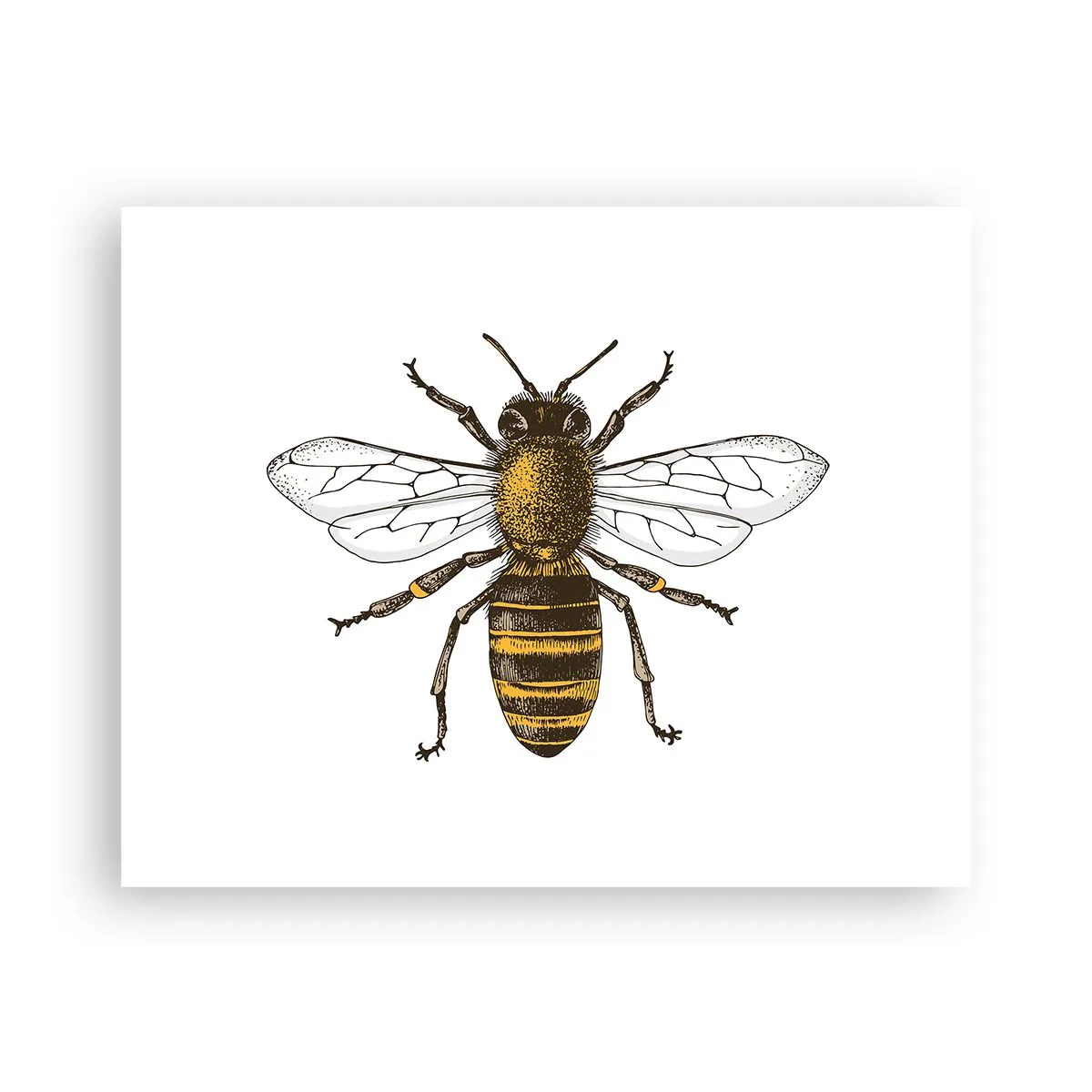 Plakat - Smuk og god - 50x40 cm