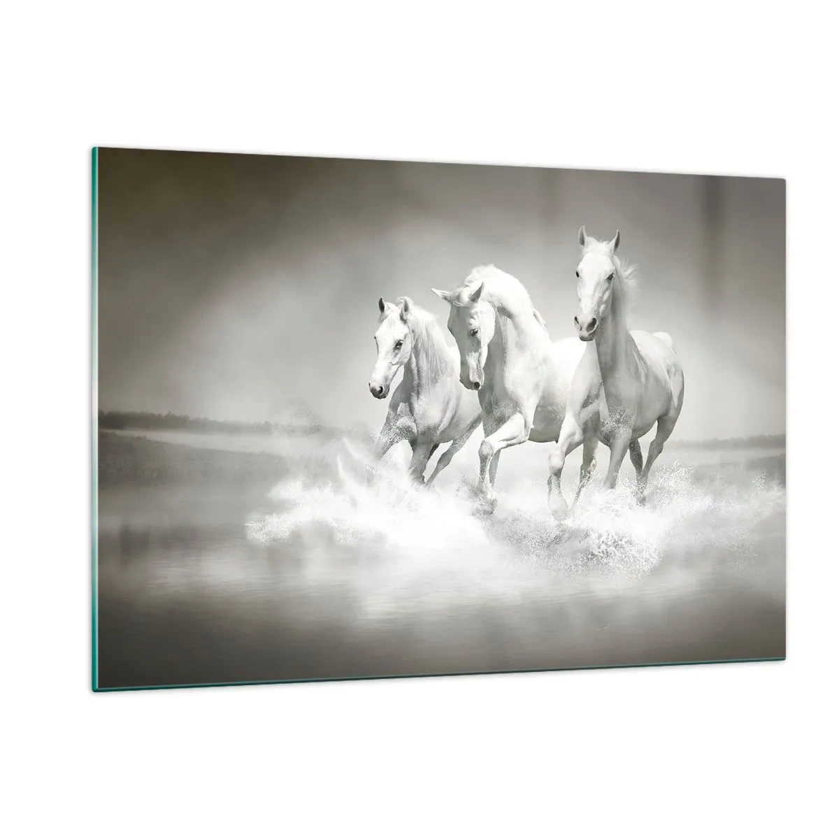 Billede på glas - Hvid galskab - 120x80 cm
