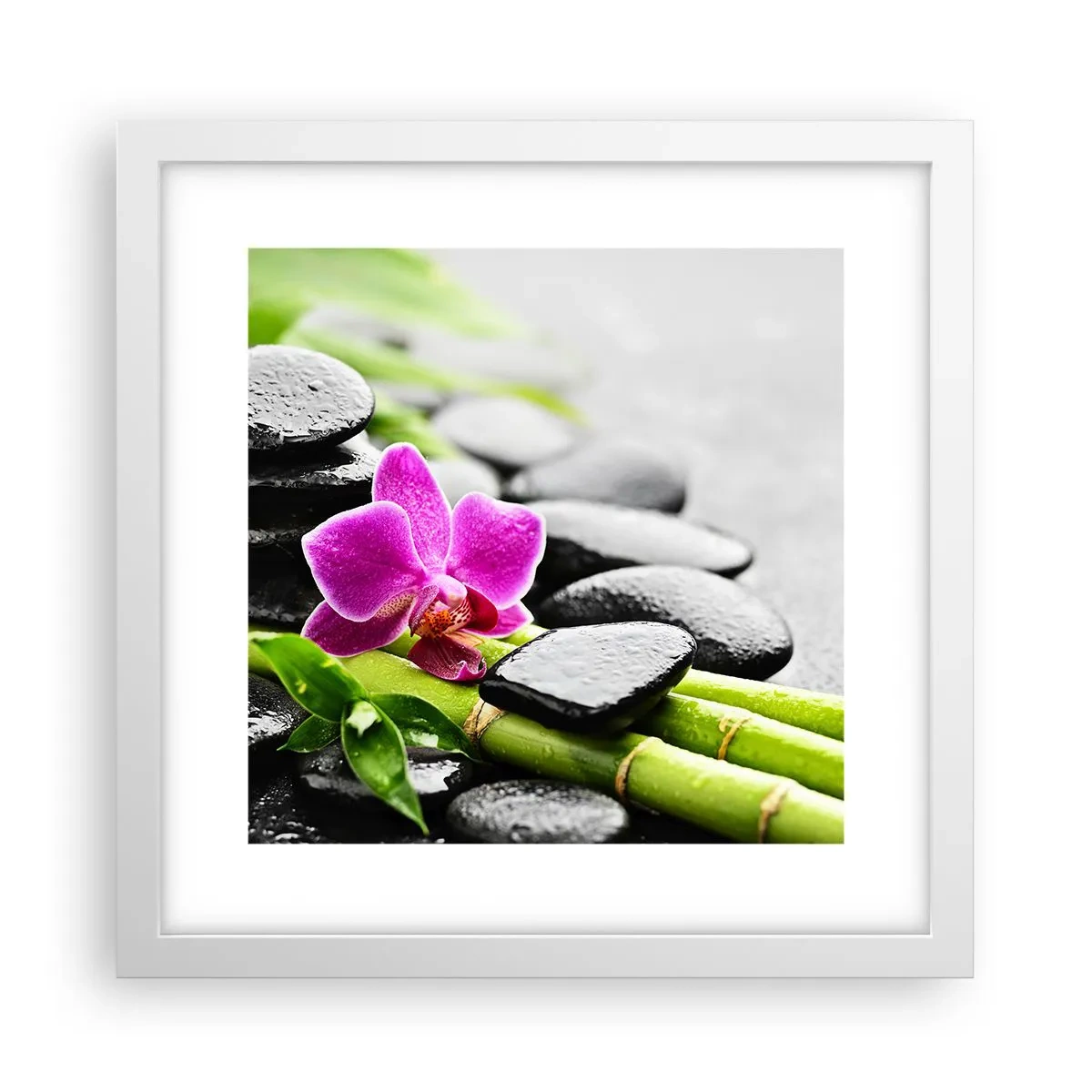 Plakat i hvid ramme - I en fredelig balance - 30x30 cm