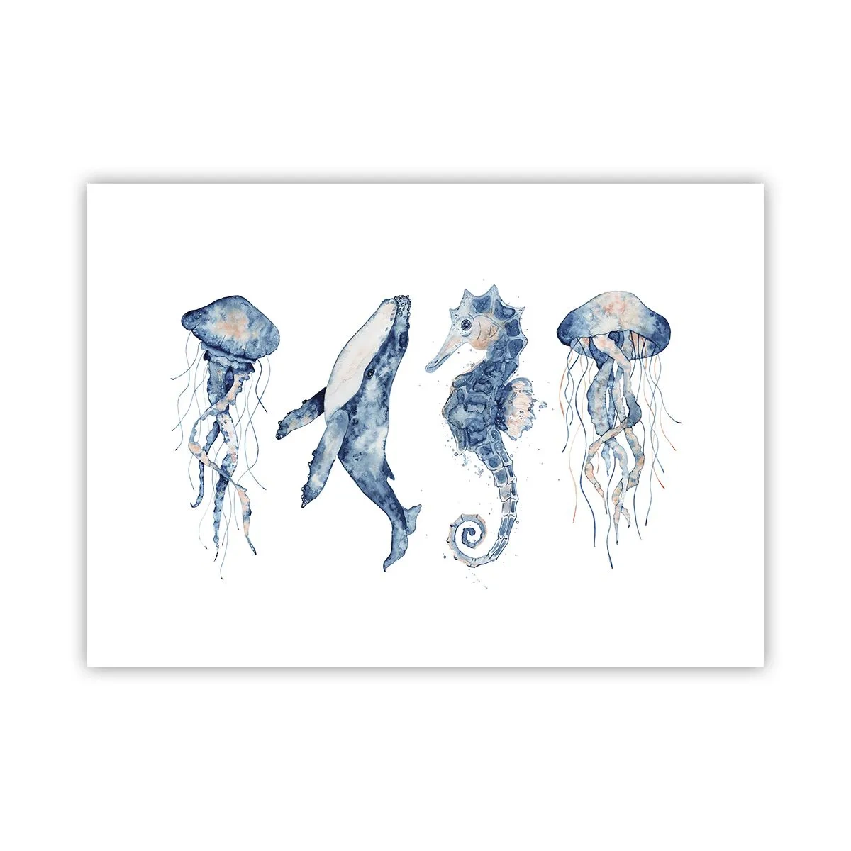 Plakat - Havets vidundere - 70x50 cm