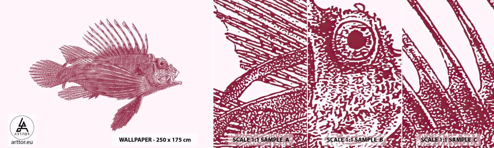 Prøve Fototapet Selvklæbende Deluxe Sticker - En beboer i eksotiske farvande - Fisk, Løvefisk, Tropisk - 100x30 cm