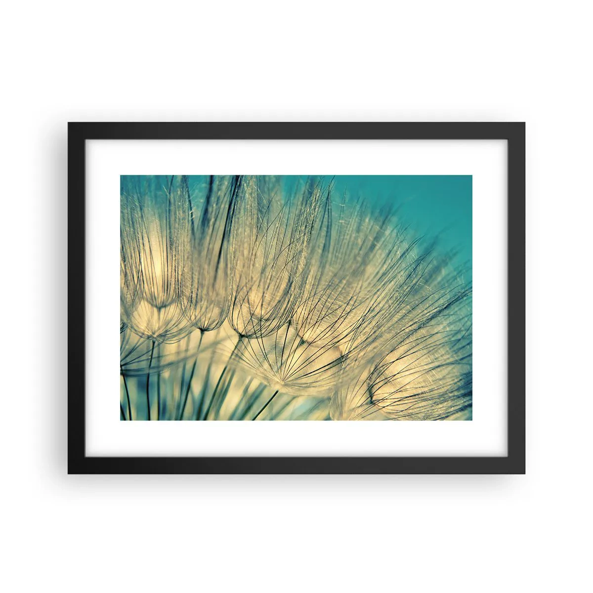 Plakat i sort ramme - Venter på vinden - 40x30 cm