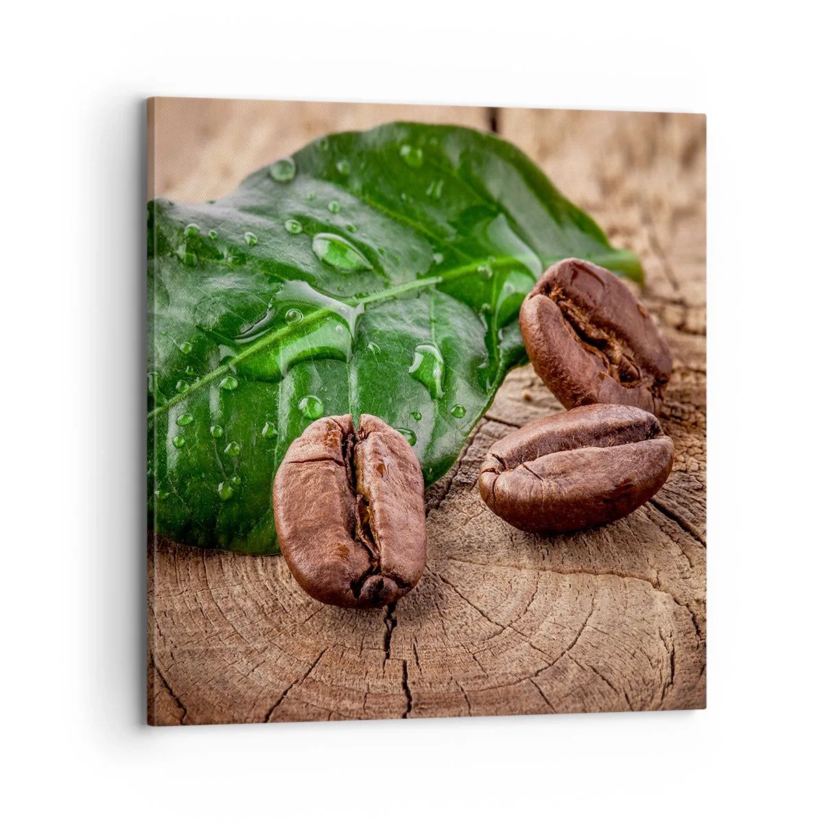 Lærredstryk - Billede på lærred - Den sandeste og sorteste - 70x70 cm