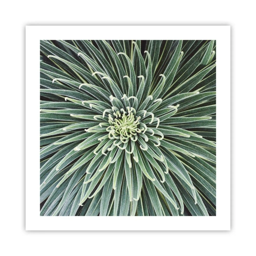 Plakat - En stjernes fødsel - 50x50 cm