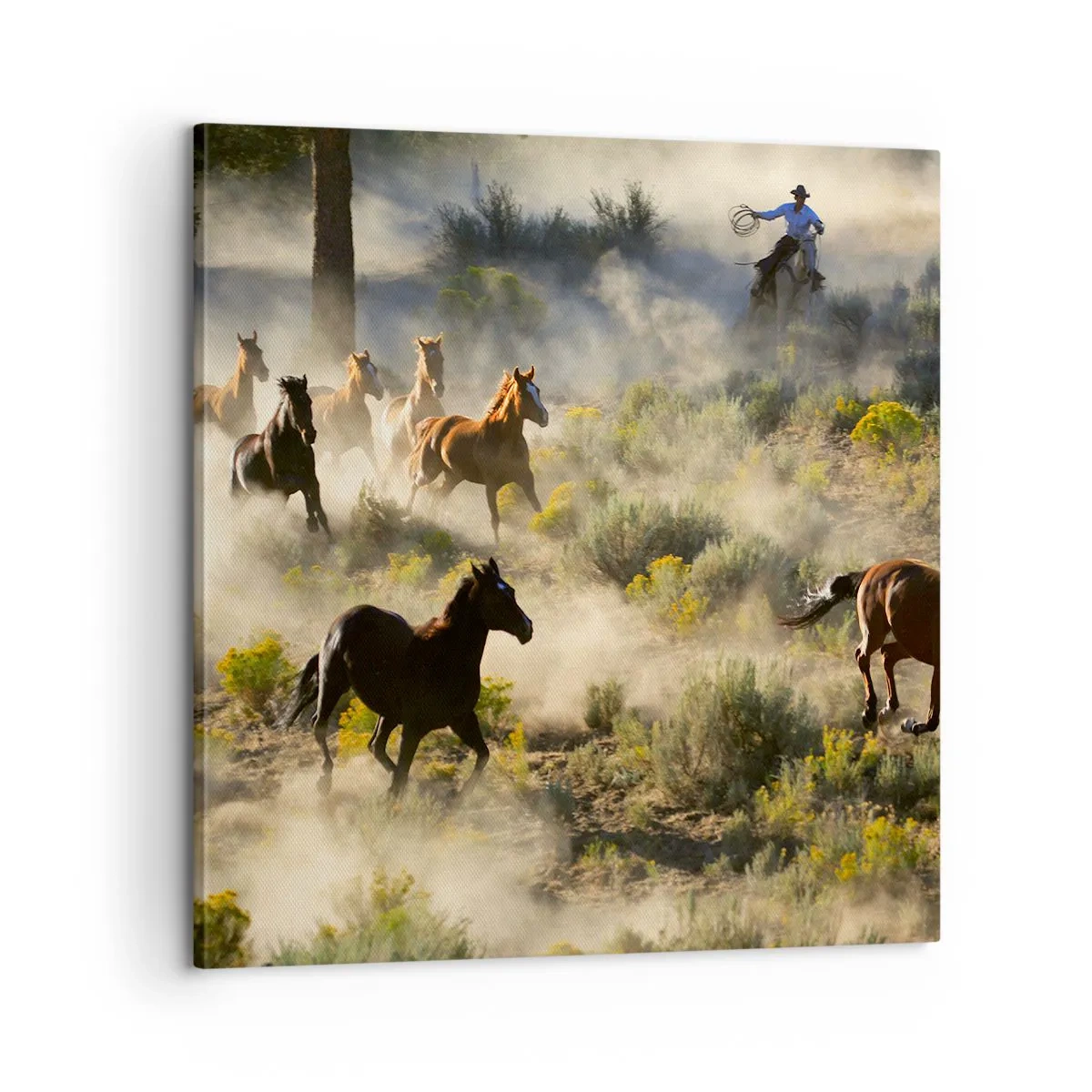 Lærredstryk - Billede på lærred - Rivalisering - frihed eller maskulin kraft? - 60x60 cm