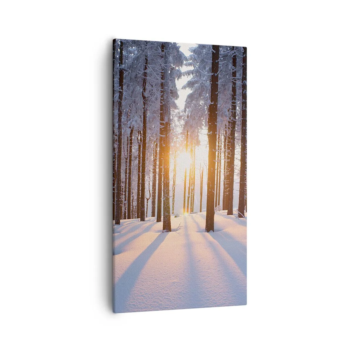 Lærredstryk - Billede på lærred - Klart i sort og hvidt - 55x100 cm