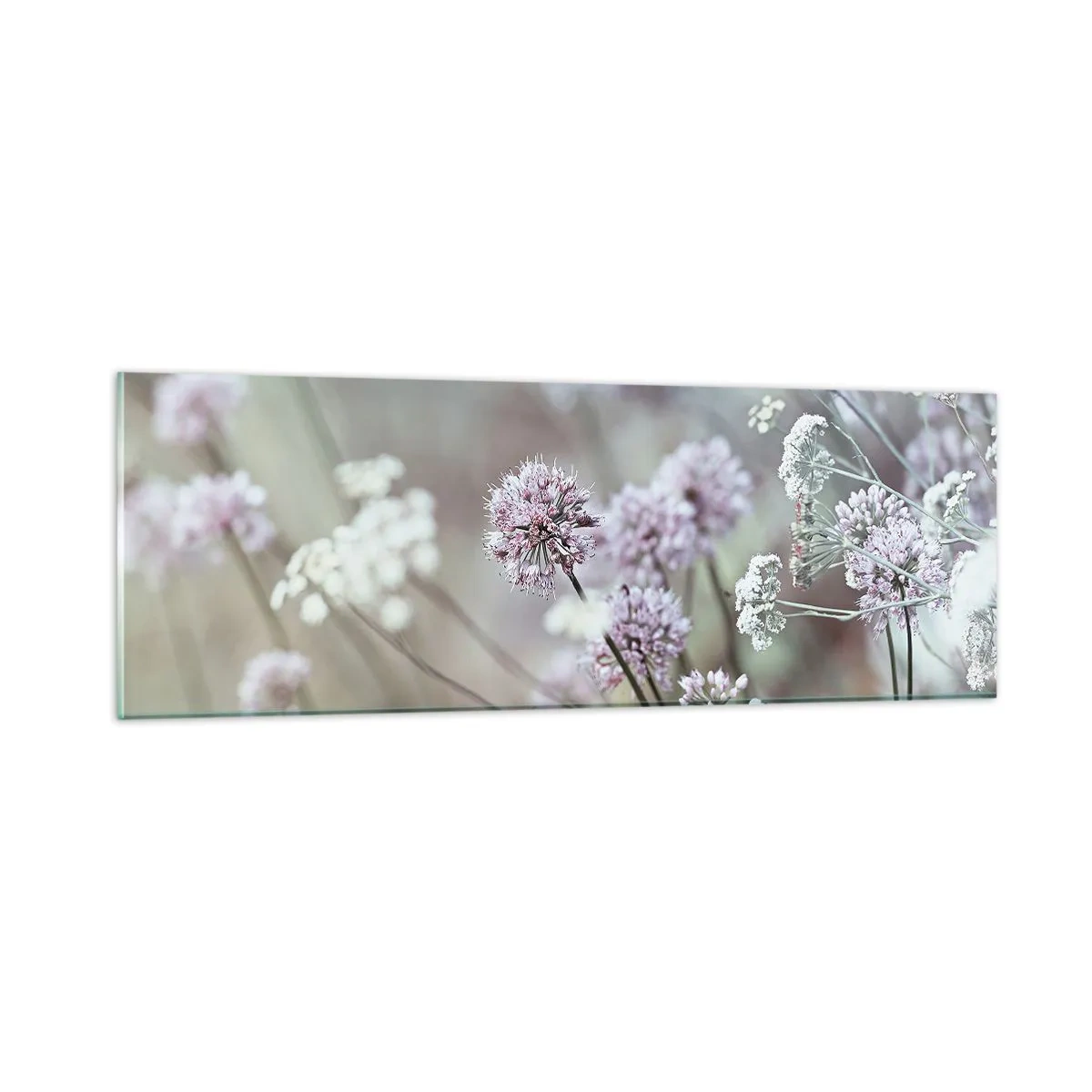 Billede på glas - Søde filigranurter - 90x30 cm