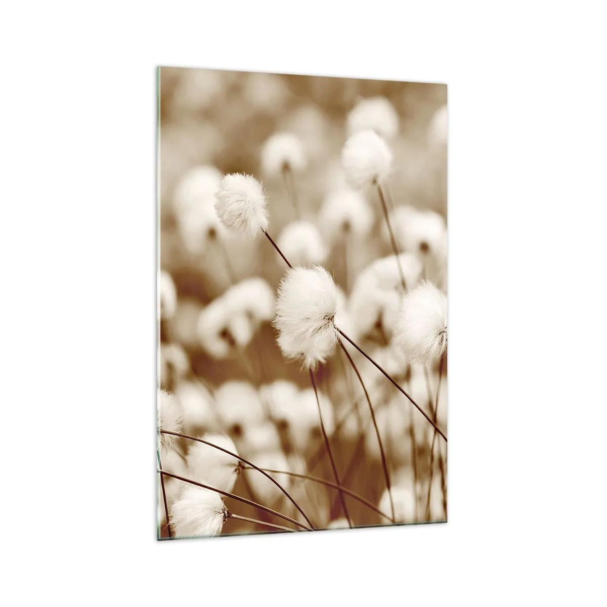 Billede på glas - Fyldig mark - 70x100 cm