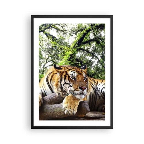 Plakat i sort ramme - En tiger hviler blandt de grønne træer - 50x70cm - Med venlig hilsen - Moderne vægdekoration til stue og soveværelse ARTTOR