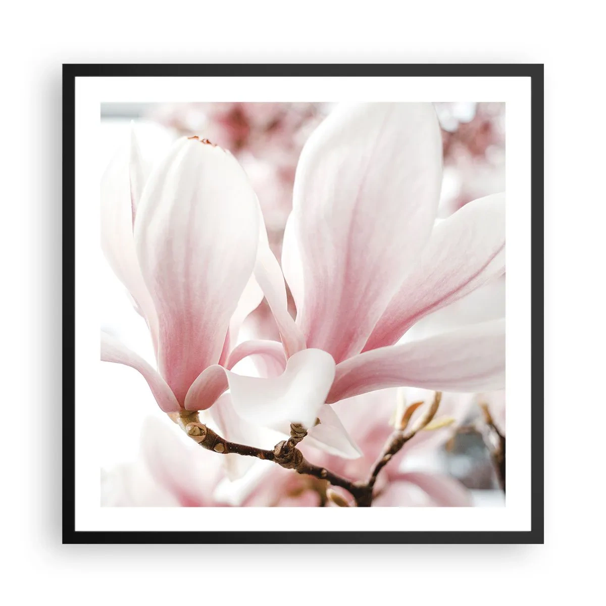 Plakat i sort ramme - Ømhedens umådelighed - 60x60 cm