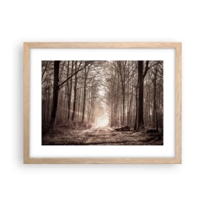 Plakat i ramme af lyst egetræ - Skovkatedralen - 40x30 cm