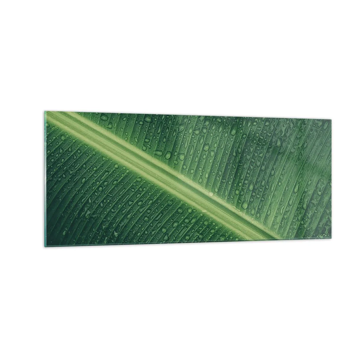 Billede på glas - Grøn struktur - 100x40 cm