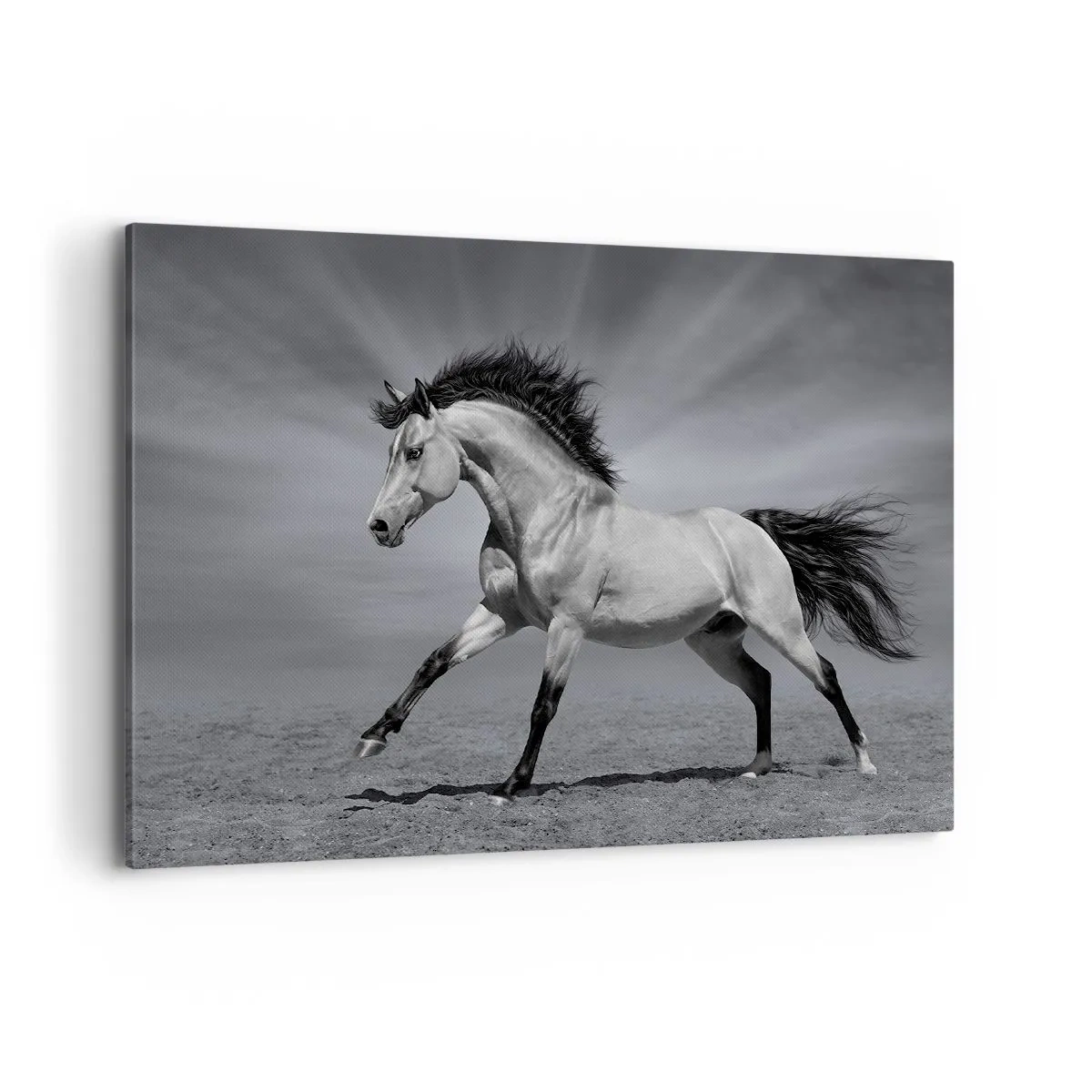 Lærredstryk - Billede på lærred - Født til glæde - 100x70 cm