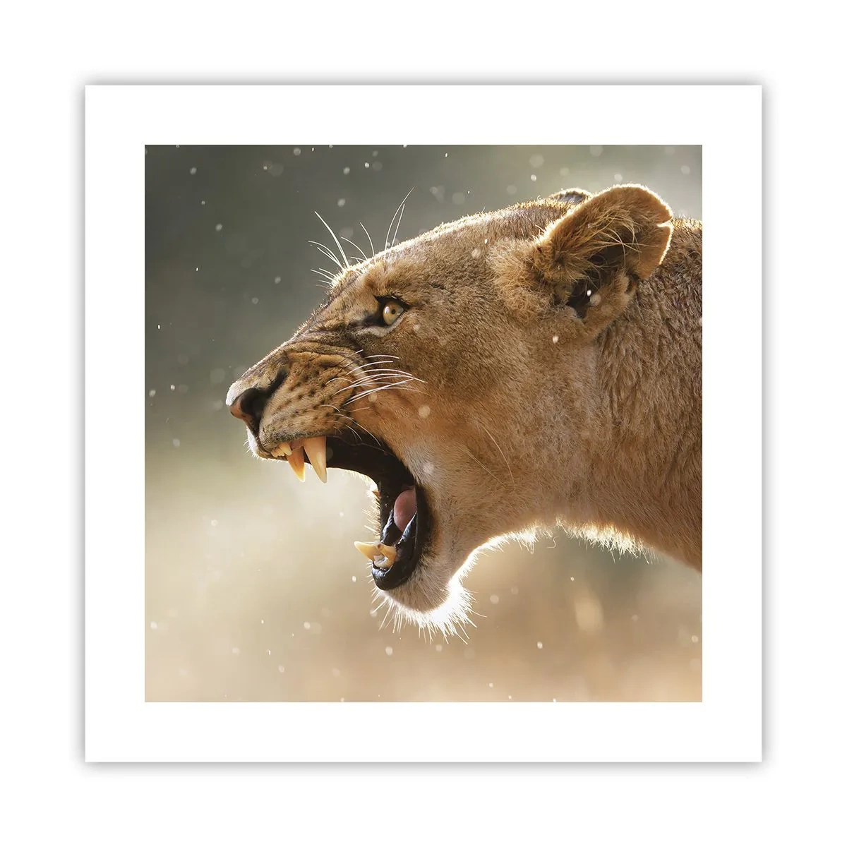 Plakat - Prøv ikke at lytte - 40x40 cm