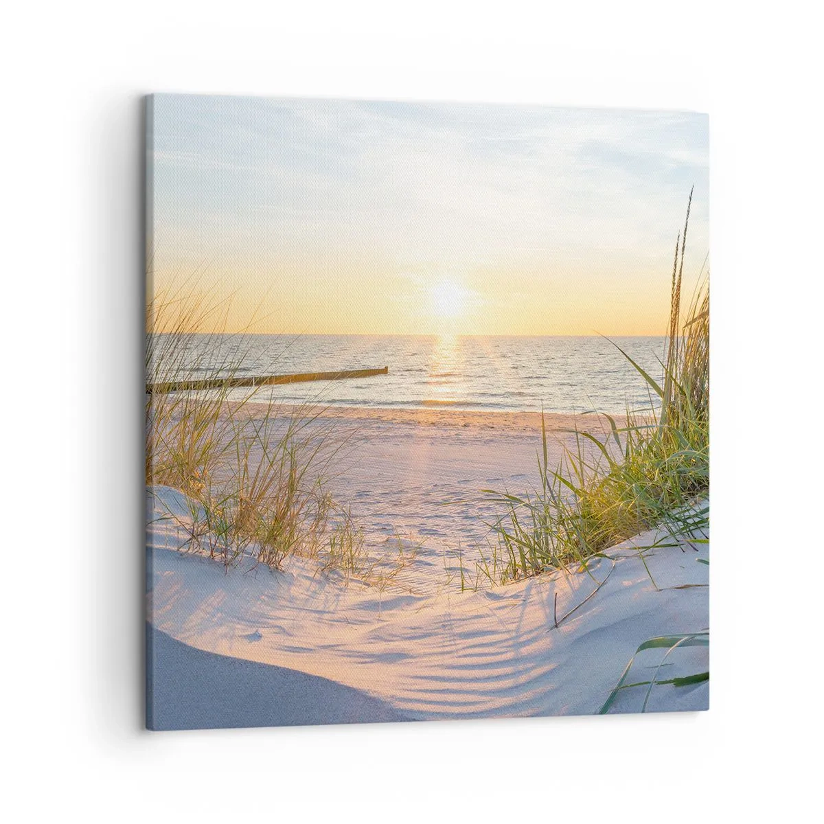 Lærredstryk - Billede på lærred - Havet brummer, fuglene synger, en vild strand midt i græsset.... - 50x50 cm