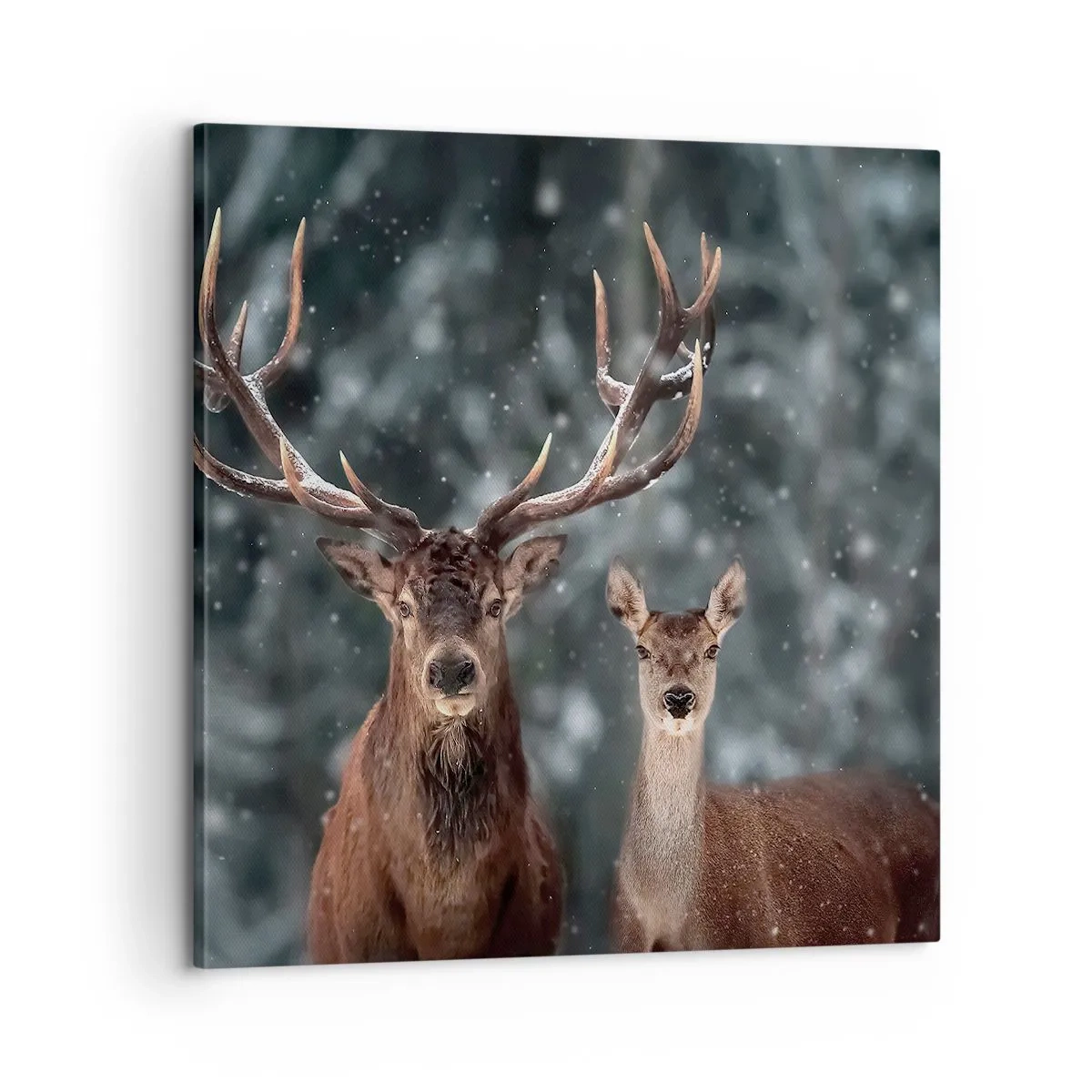 Lærredstryk - Billede på lærred - Skovens herre og hans kone - 60x60 cm