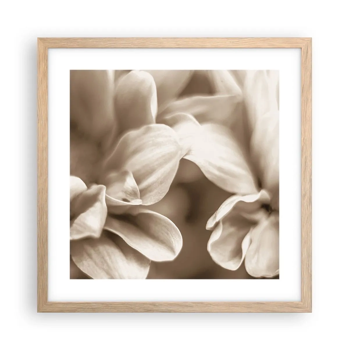 Plakat i ramme af lyst egetræ - Blid som et smil - 40x40 cm