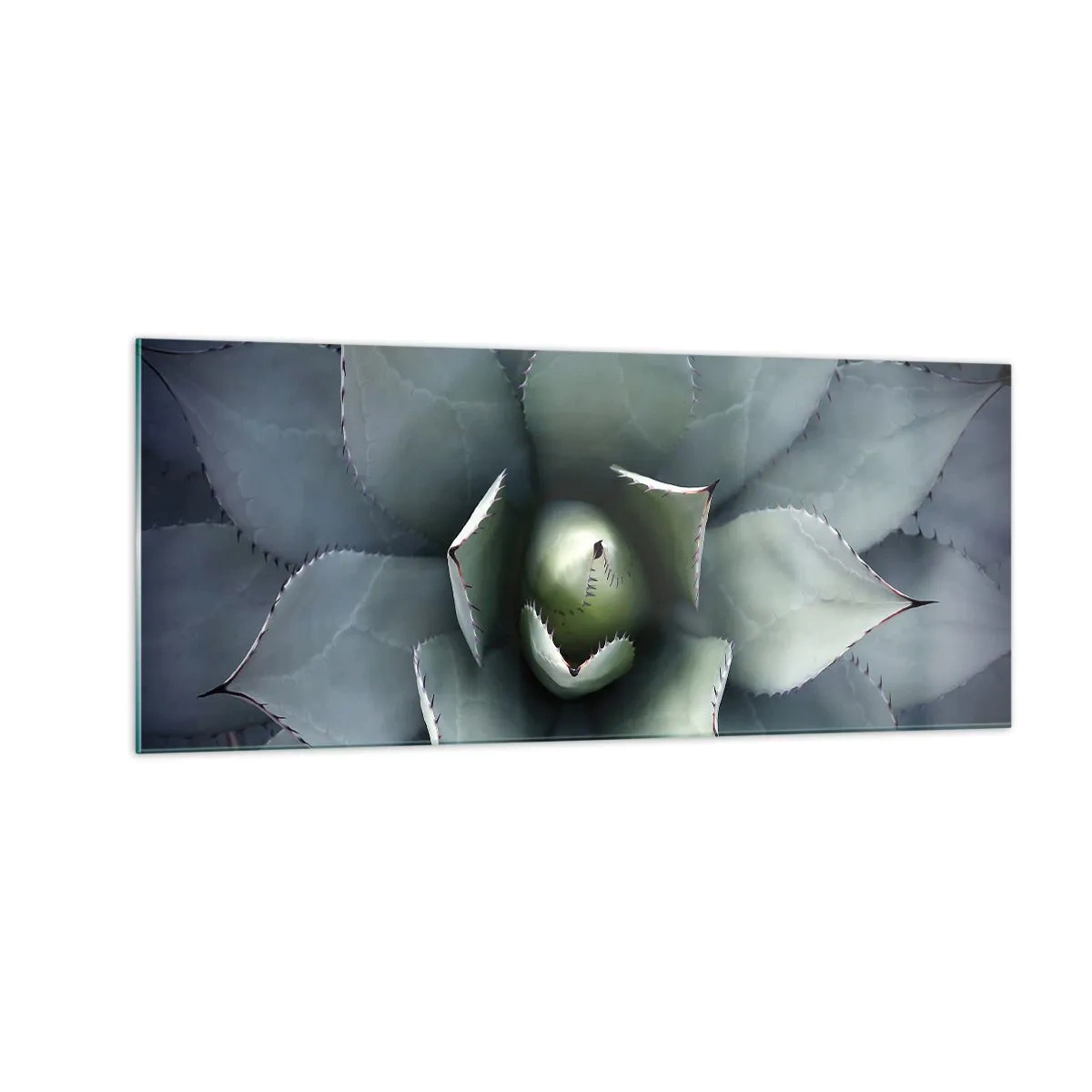 Billede på glas - Lokkemad og advarsler - 100x40 cm