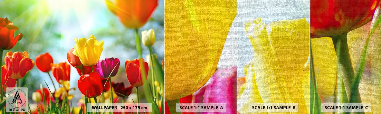 Prøve Fototapet Premium Canvas - Alle solens farver - Tulipaner, Blomster, Eng - 100x30 cm