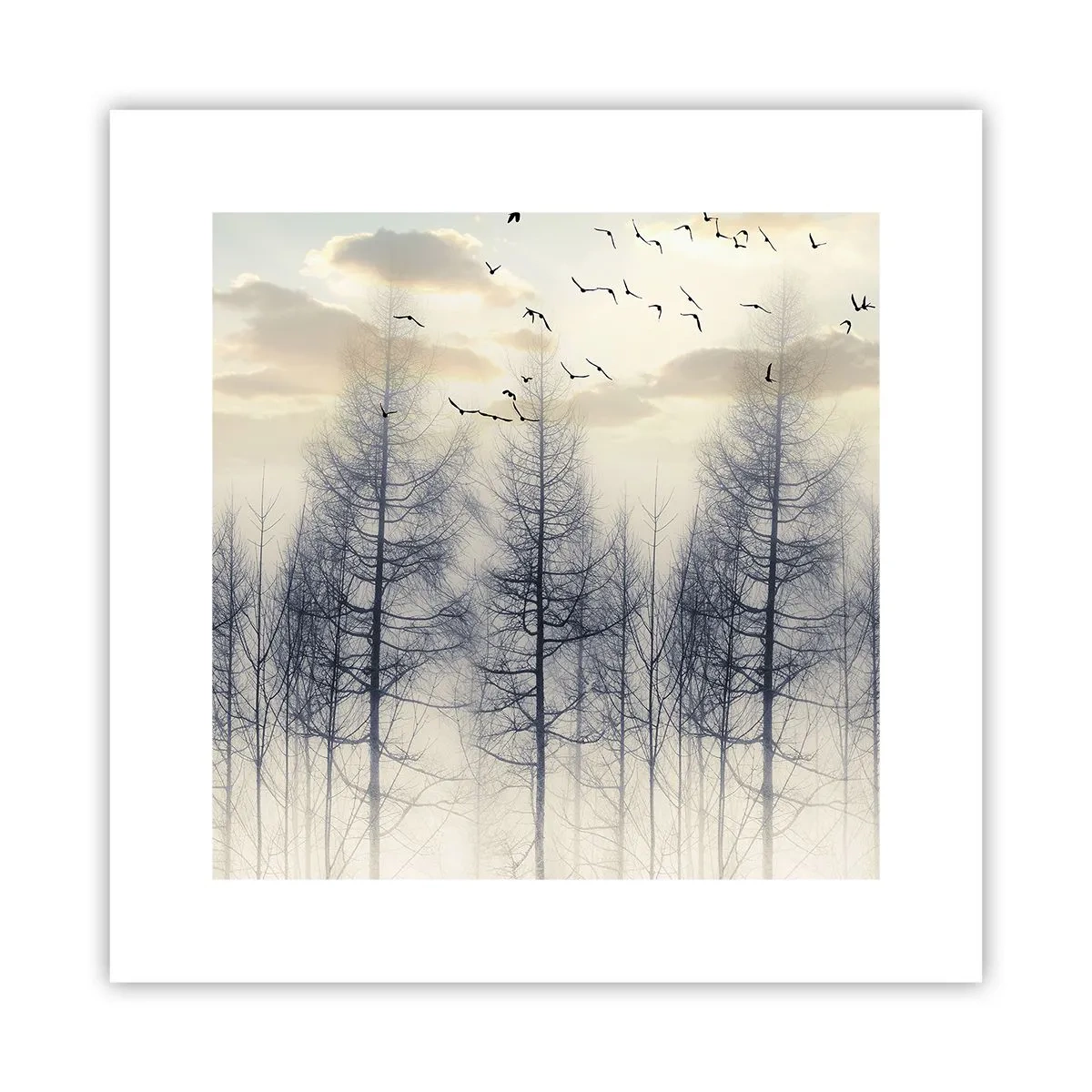 Plakat - Skovånder - 30x30 cm