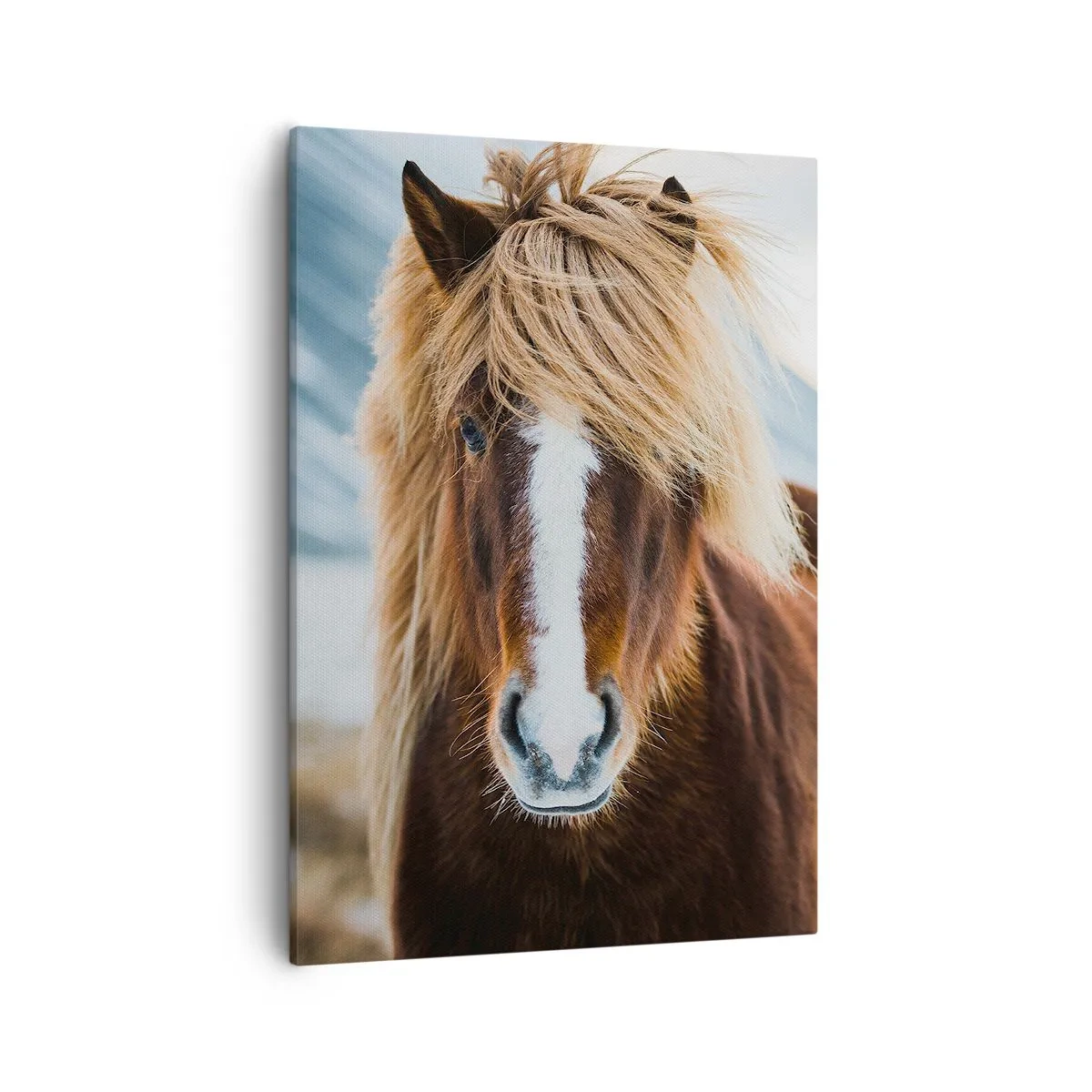 Lærredstryk - Billede på lærred - Kan du mærke friheden? - 50x70 cm