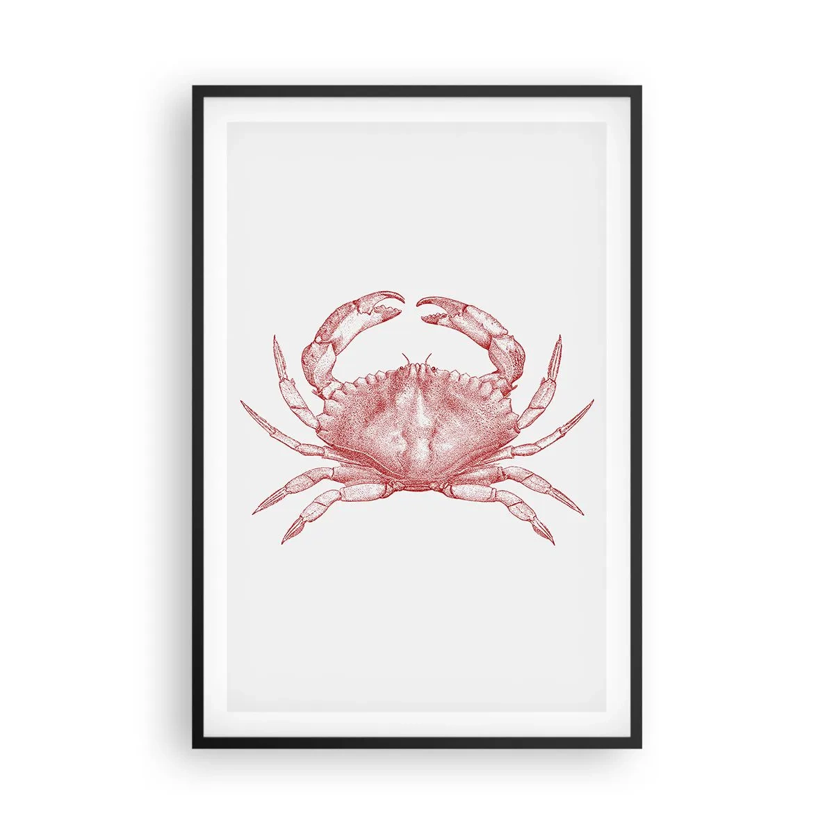 Plakat i sort ramme - Krabbe over krabber - 61x91 cm