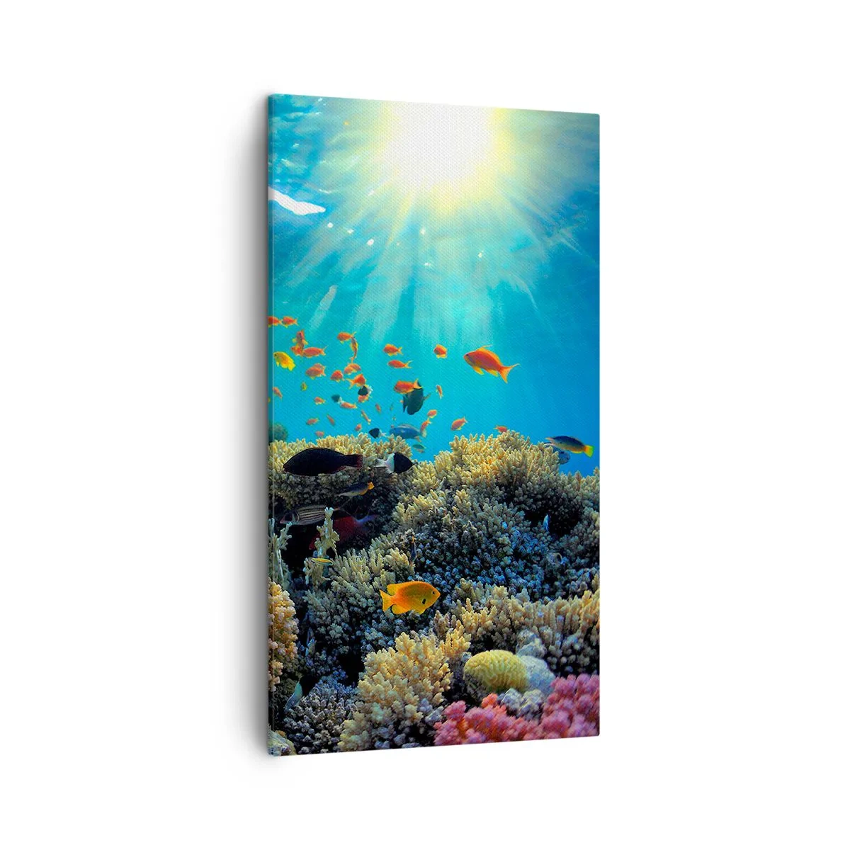 Lærredstryk - Billede på lærred - Undervandsskatte - 45x80 cm