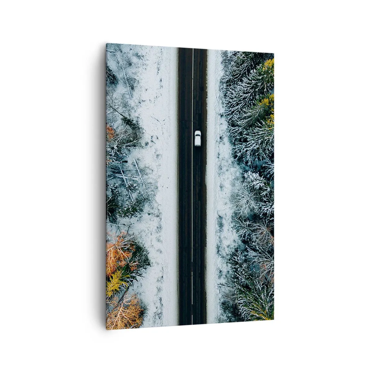 Lærredstryk - Billede på lærred - Skær gennem vinterskoven - 80x120 cm