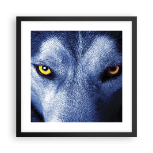 Plakat i sort ramme - Et hypnotiserende udseende - 40x40 cm